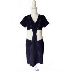 Ann Taylor Navy and White Short Sleeve V-Neck Dress